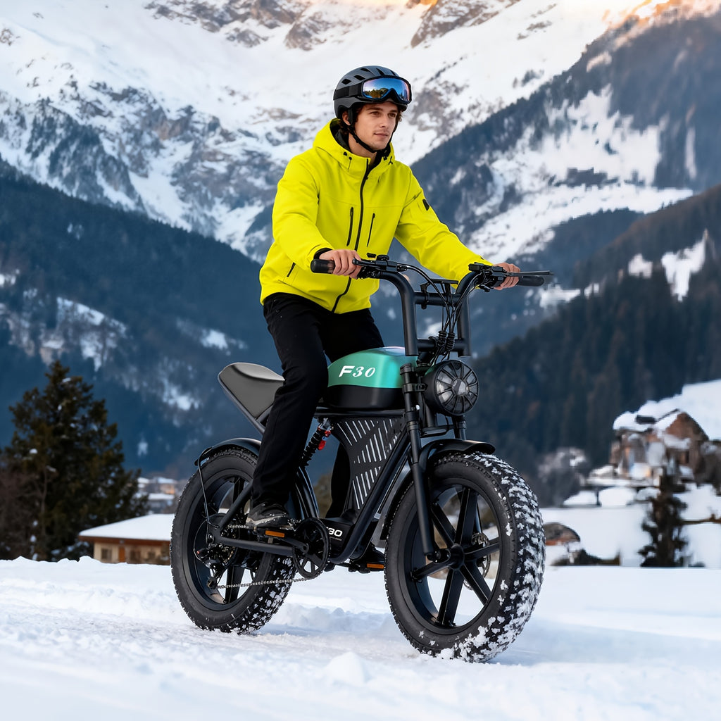 Dual Suspension Fat Tire Electric Mountain Bike, 749W Motor, Removable 48V 20AH Lithium Battery