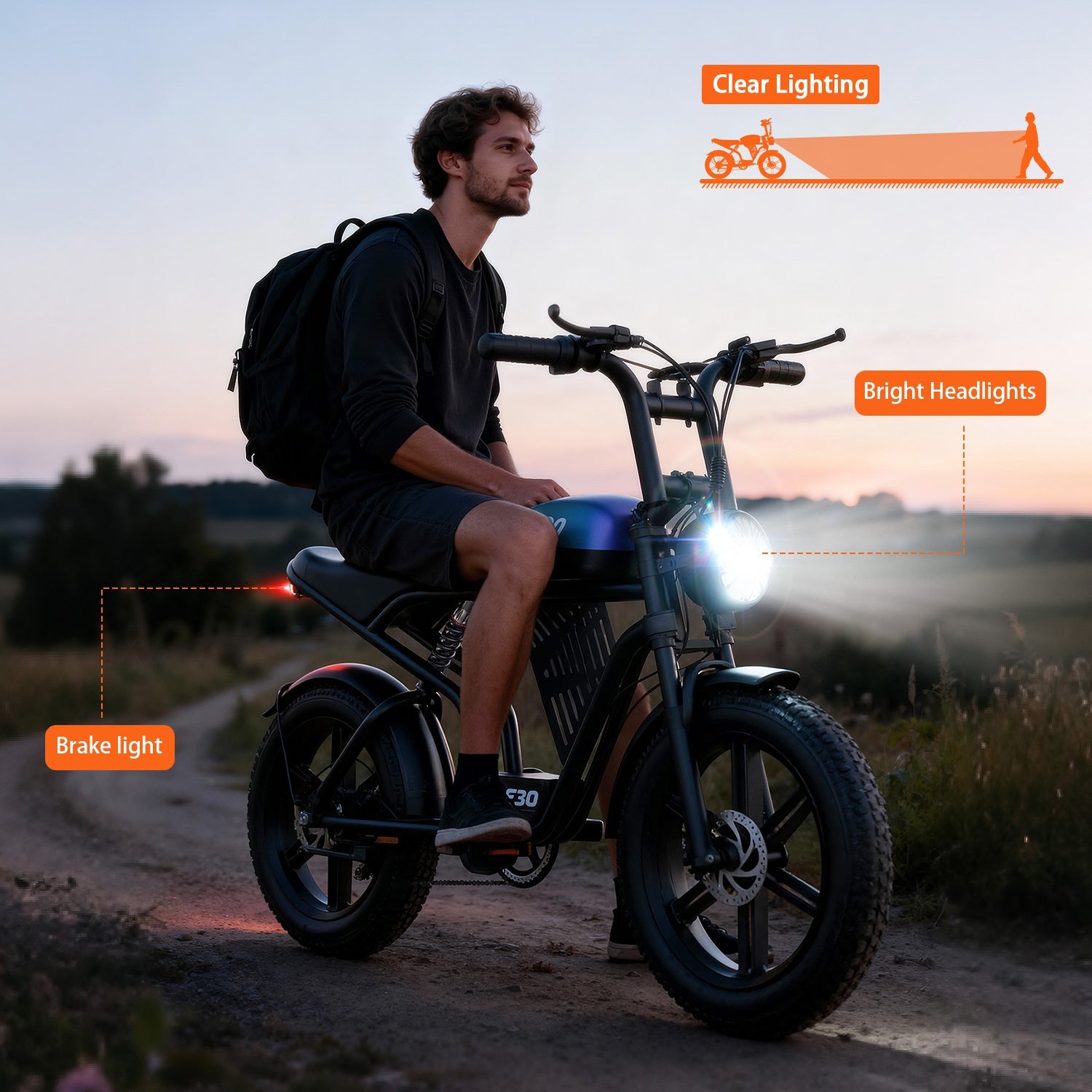 F30 Electric Bike - 48V 20Ah Battery, 749W Motor, 27.9MPH Speed, 65 Miles Range, 440LBS Load, 20\