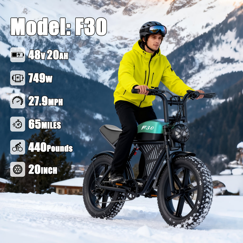 F30 Electric Bike - 48V 20Ah Battery, 749W Motor, 27.9MPH Speed, 65 Miles Range, 440LBS Load, 20\