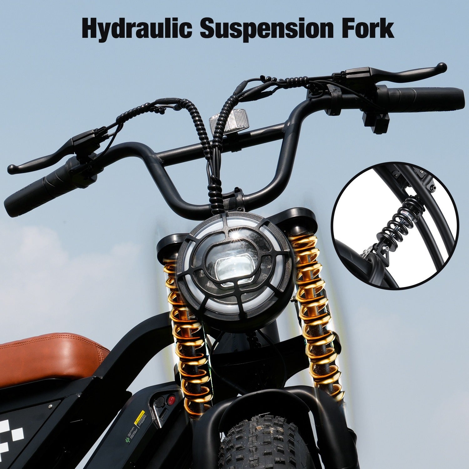 EB5 Adult All-Terrain Electric Bike, 500 Watt Motor, Top Speed 19 mph, Can Travel 55+ Miles, 20 Inch Thick Tires