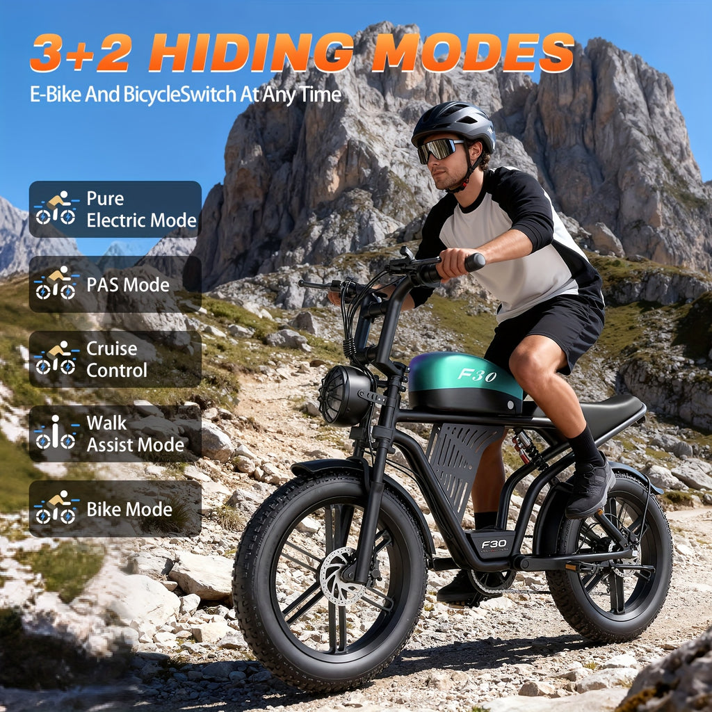 F30-20 Inch ×4 Fat Tire Electric Mountain Bike, 749W Motor And 27.9MPH