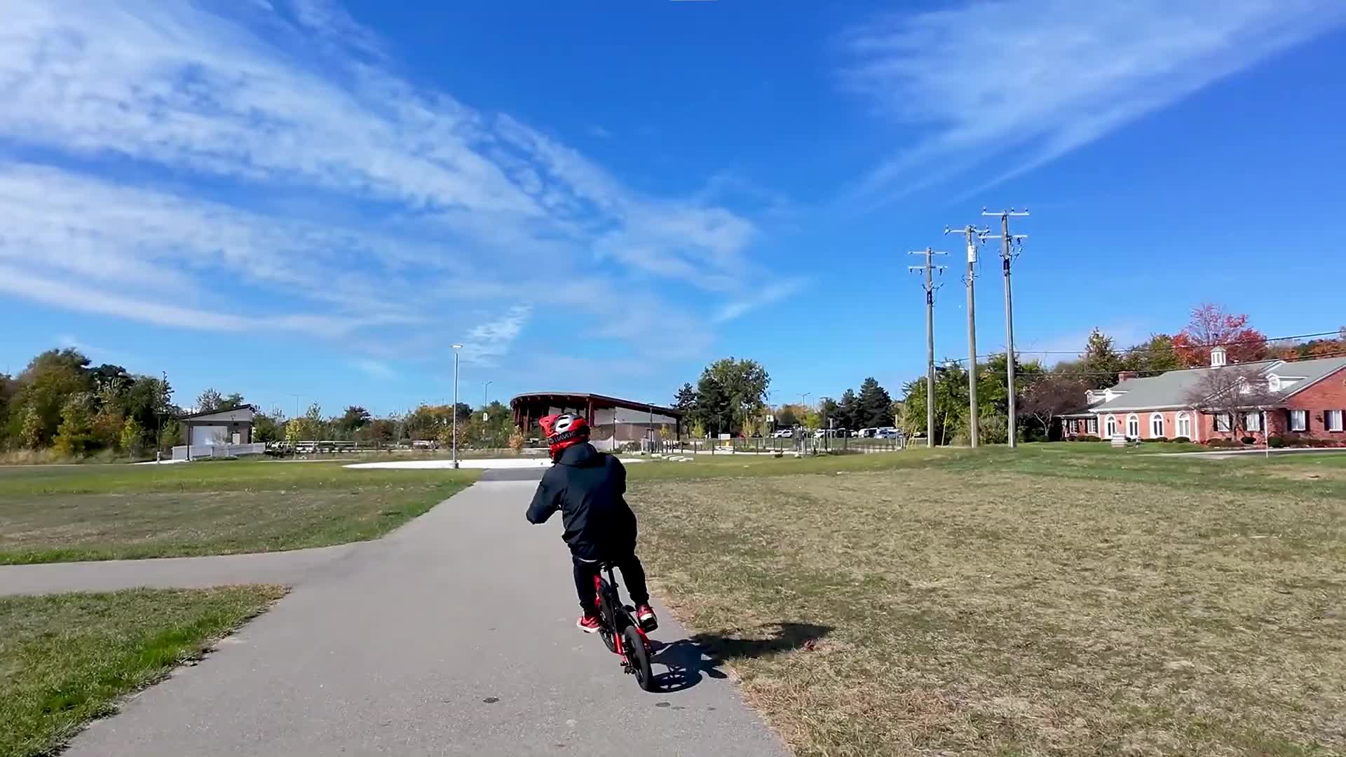 Vivi PONY01 Electric Bike, 14\